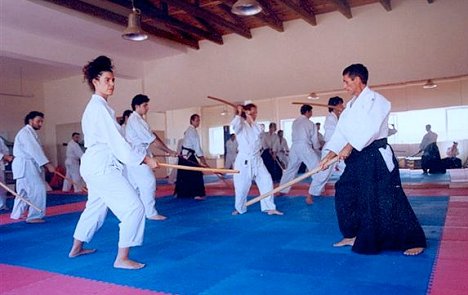 Aikido seminar at Stalos Dojo on June 4-5, 2005